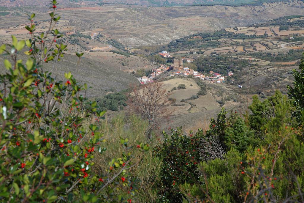 Vivienda Turistica Los Mesones Ágreda Eksteriør bilde